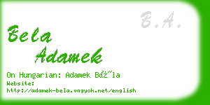 bela adamek business card